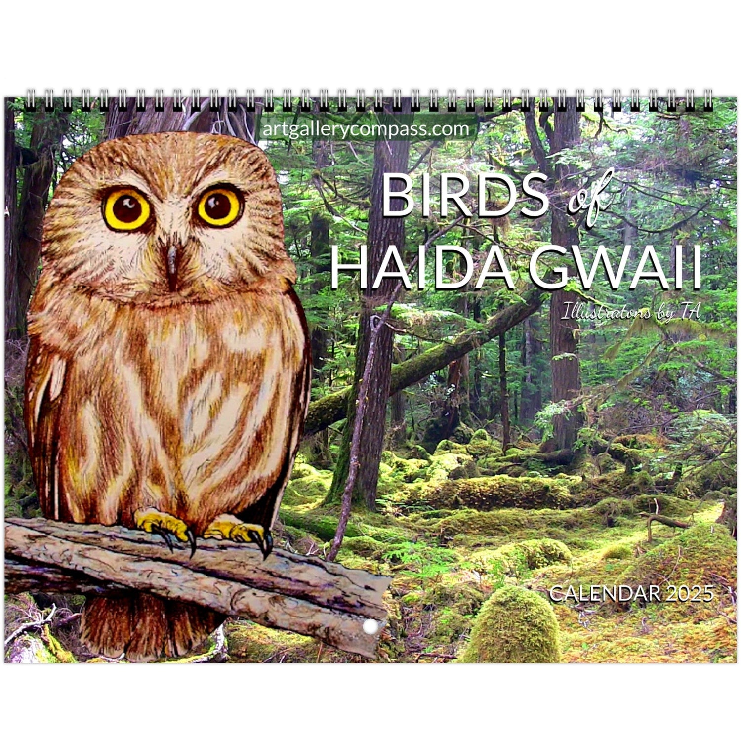 Birds of Haida Gwaii - Illustrations by TA ~ Wall Calendar 2025