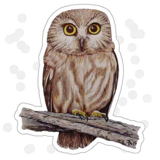 Northern Saw-whet Owl ~ Kiss-Cut Sticker