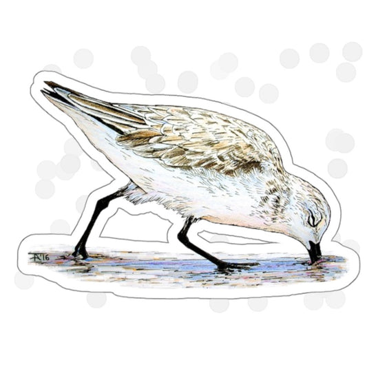 Sanderling ~ Kiss-Cut Stickers