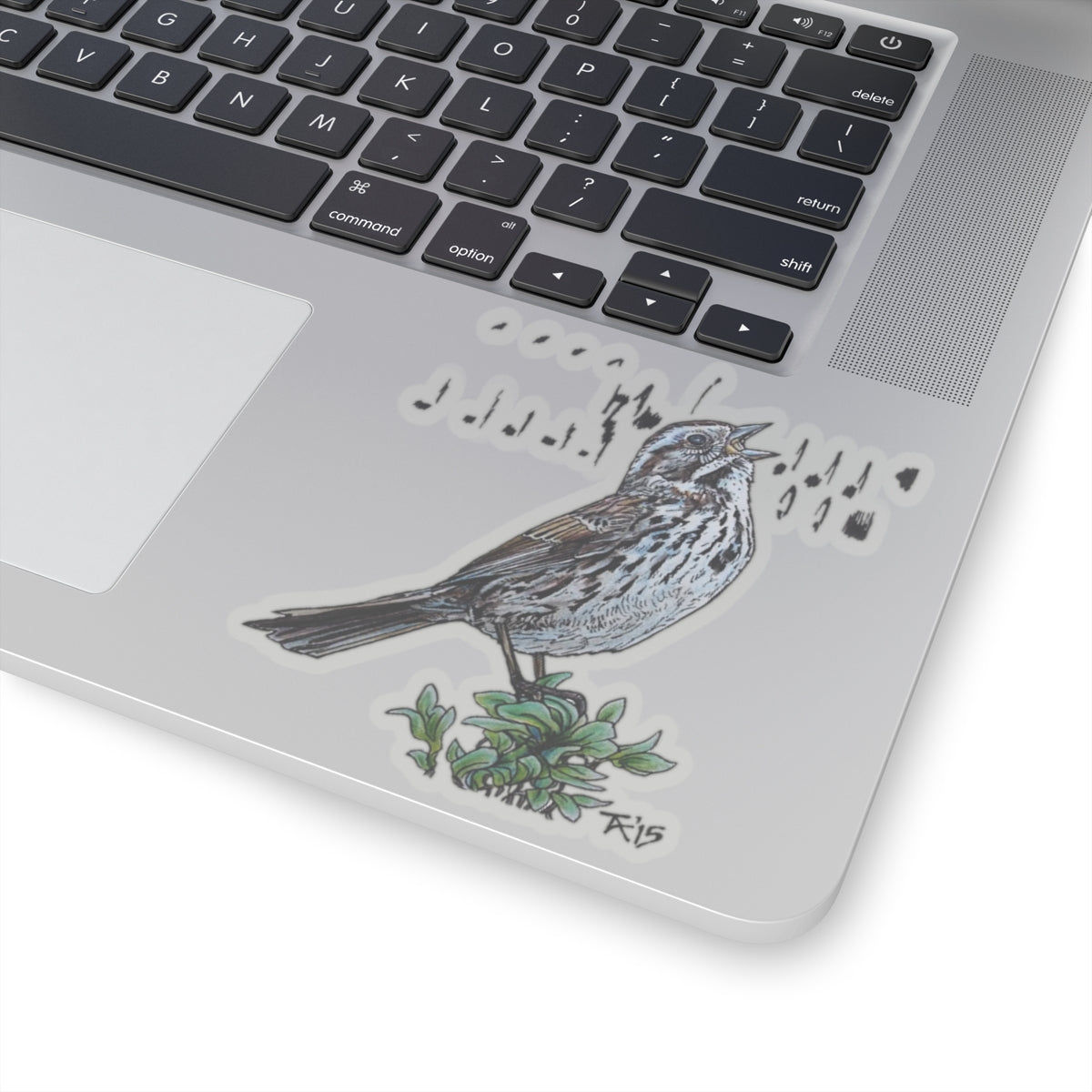 Song Sparrow ~ Kiss-Cut Sticker